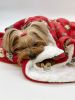 Silly Monkey Ultra Plush Blanket