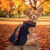 Navy Dog Dress with Plaid Ruffles